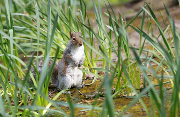 Here's What Happened Today: Monday · TheJournal.ie