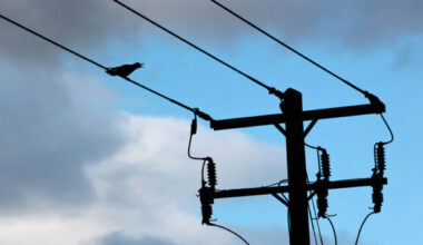 Calls for greater transparency on electricity costs as minister warns of possible 9% price hike - The Journal