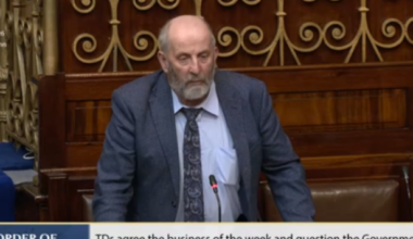 Danny Healy-Rae loses Agriculture Committee seat after voting against government last week - The Journal