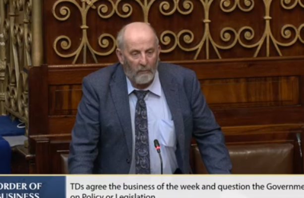 Danny Healy-Rae loses Agriculture Committee seat after voting against government last week - The Journal