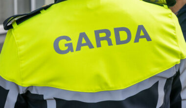 Gardaí sustain bite and eye injuries in assault at Letterkenny council offices - The Journal