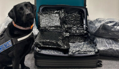 Herbal cannabis flown on four flights worth a combined €3.1m seized at Dublin Airport - The Journal