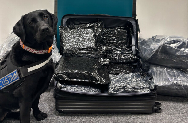 Herbal cannabis flown on four flights worth a combined €3.1m seized at Dublin Airport - The Journal