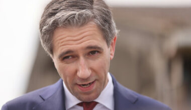 Simon Harris accused of 'pulling the rug' from under EV and heat pump sales