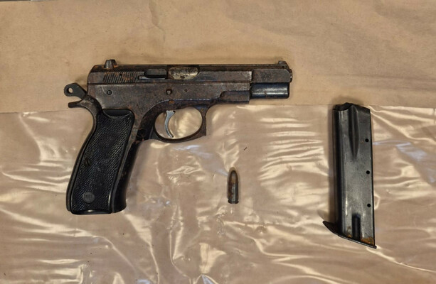 Loaded handgun found hidden in bush near north Dublin playground - The Journal
