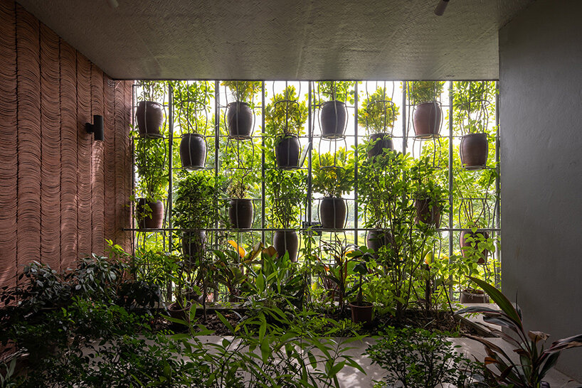 H&P architects flying vegetation