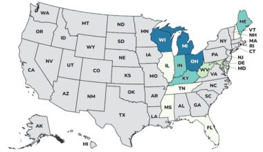 Salmonella outbreak linked to backyard poultry