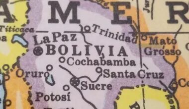 Yellow fever health alert declared in Santa Cruz