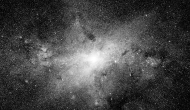 Stars in the Milky Way