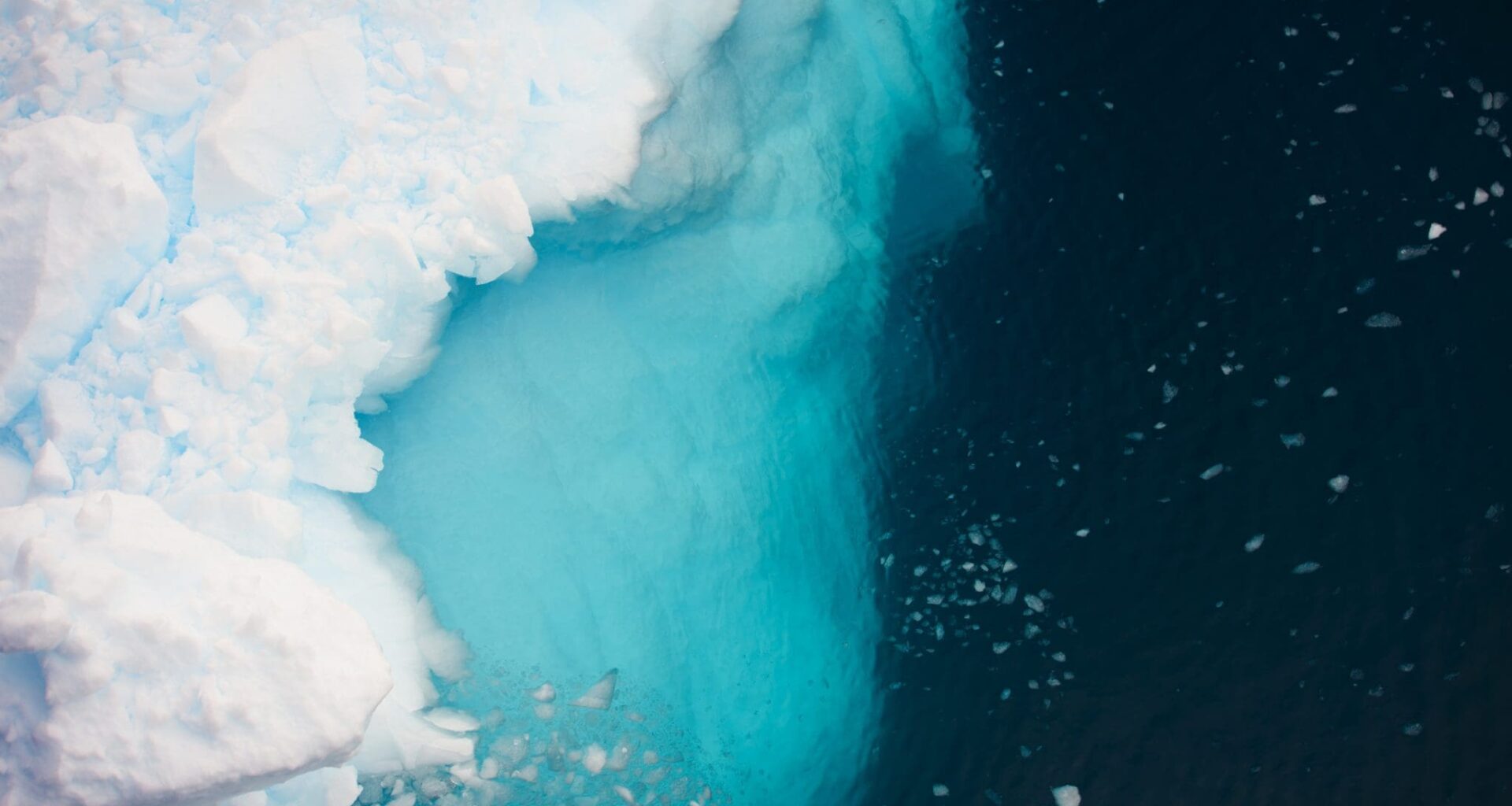 Aerial view of icebergs in Antarctica