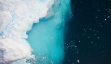 Aerial view of icebergs in Antarctica