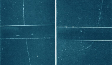 A muon particle passing through lead in a cloud chamber. Image credit: Jino John 1996 / CC BY-SA 4.0.