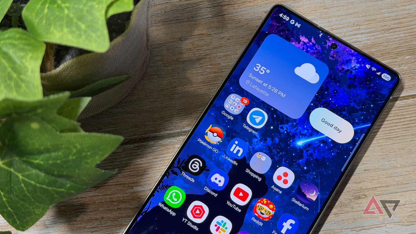 Samsung Galaxy S25 Ultra sitting next to green plant