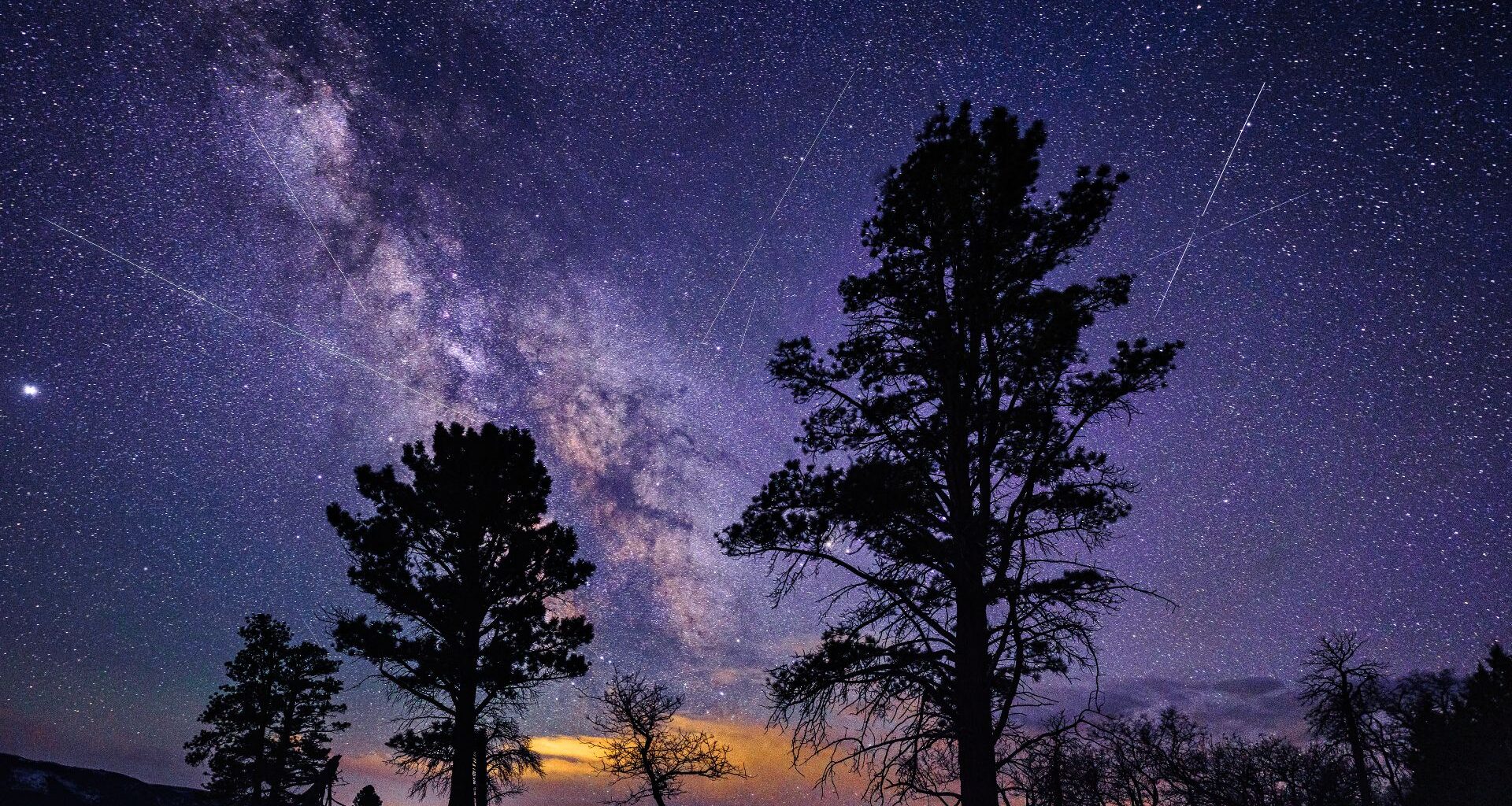 Lyrid meteor shower streaks across the sky with silhouetted trees in the foreground and the milky way stretching across the night sky in the background