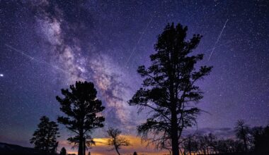 Lyrid meteor shower streaks across the sky with silhouetted trees in the foreground and the milky way stretching across the night sky in the background