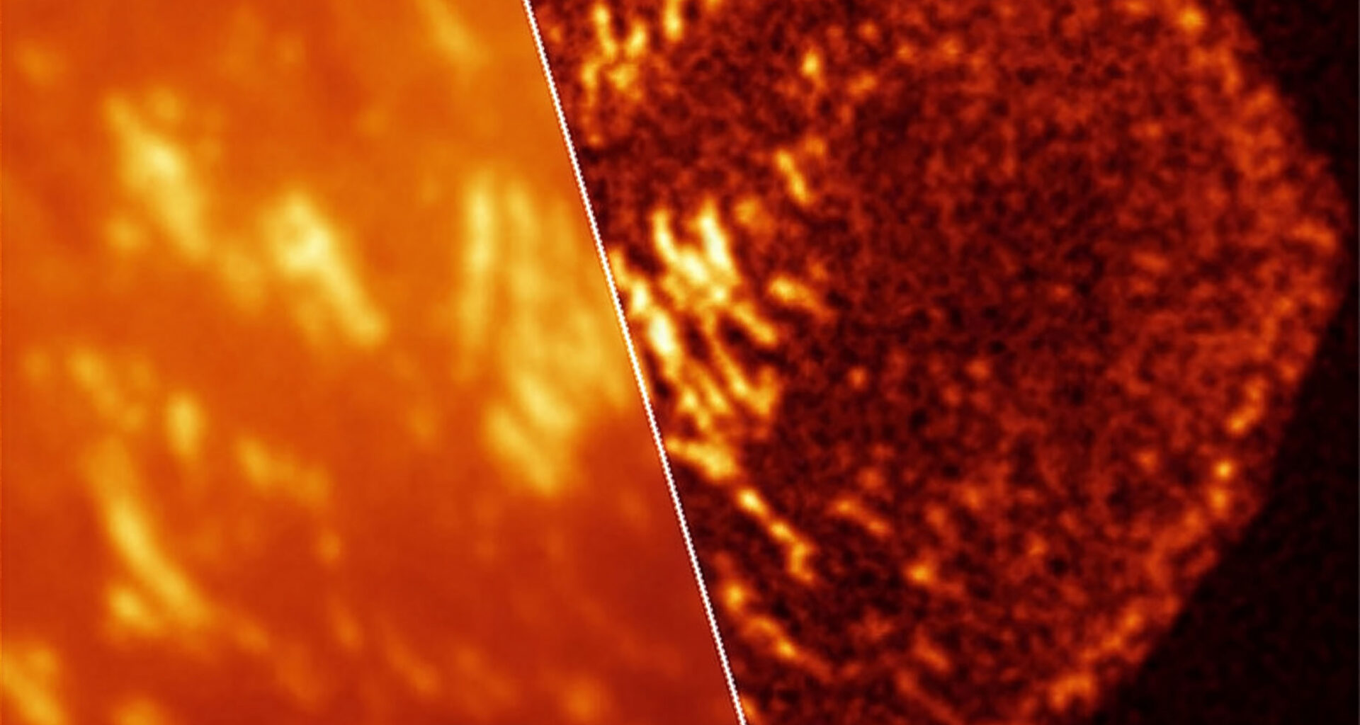 New imaging technique helps scientists see the inside of living cells