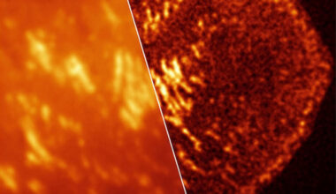 New imaging technique helps scientists see the inside of living cells