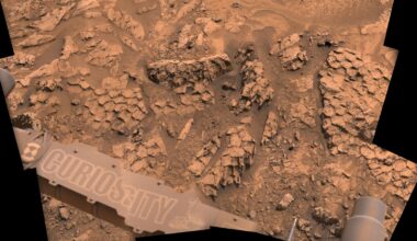 A close-up photo of rocky polygons on Mars that look like giant reptile scales