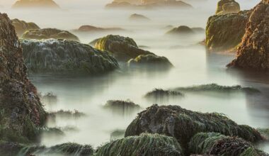 a photograph by Jon McCormack of a misty morning on a rocky shoreline at low tide
