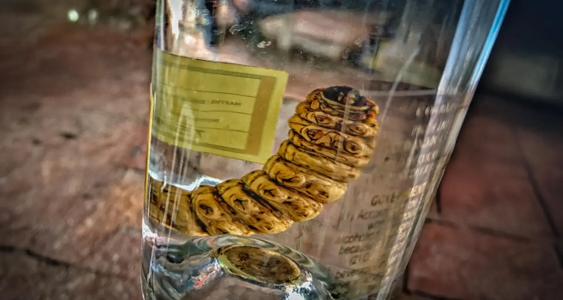 Mezcal worm in a bottle DNA test reveals a surprise