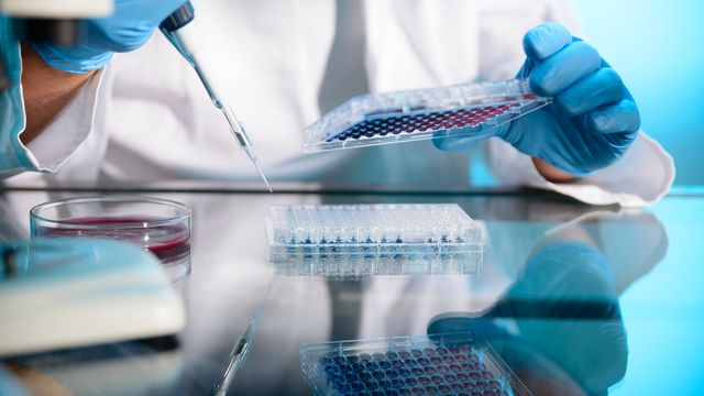 ENDOtollins Reduce Autoimmune Inflammation Safely