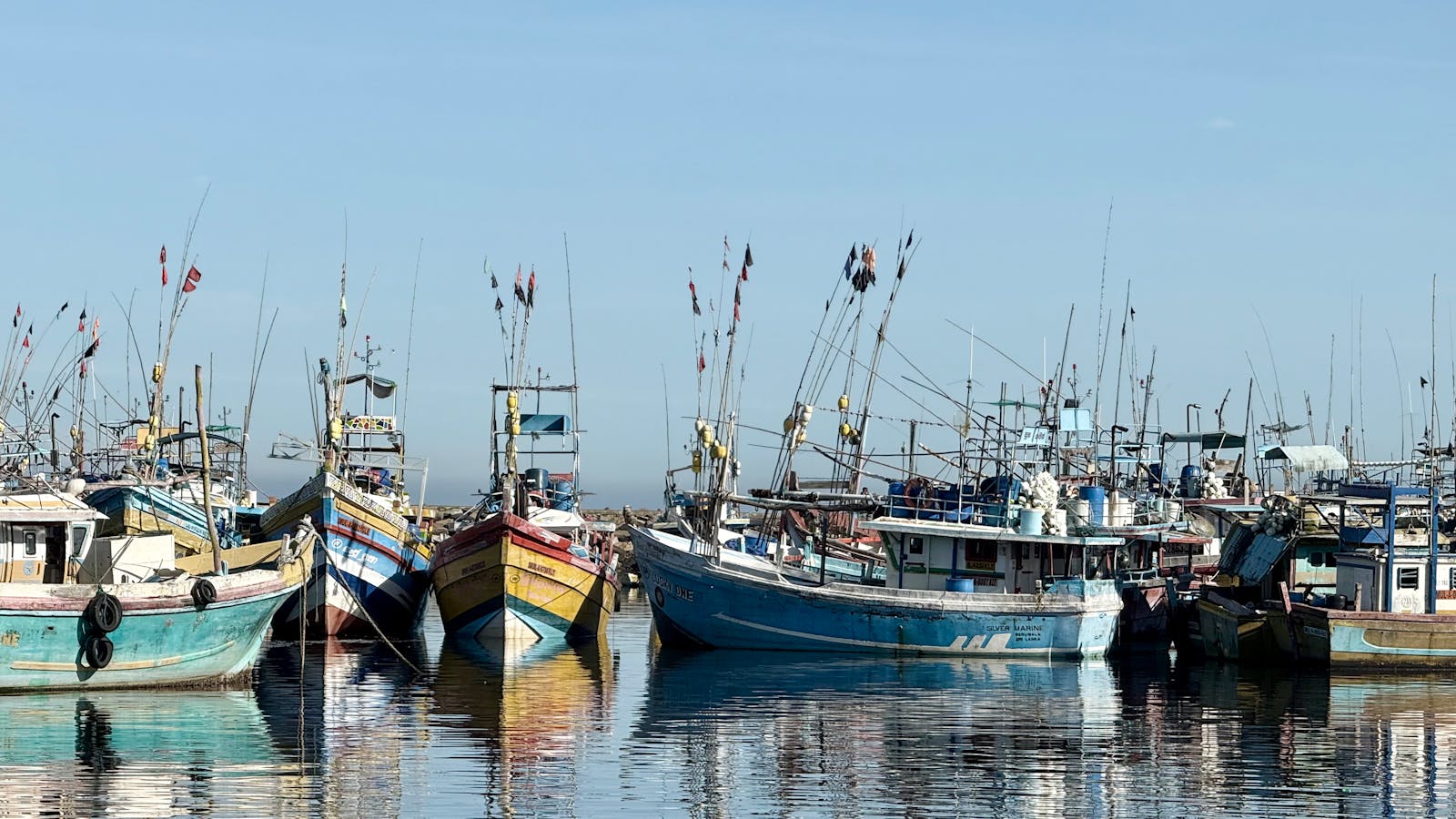 Mumbai Sassoon Dock fishing