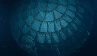Guess What This Creepy Underwater Thing Is That Was Photographed by US Navy Divers for NASA