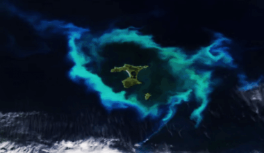 Nasa Satellite Captures Strange Gleaming Halo Surrounding New Zealand’s Chatham Islands