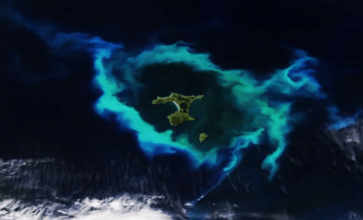 Nasa Satellite Captures Strange Gleaming Halo Surrounding New Zealand’s Chatham Islands