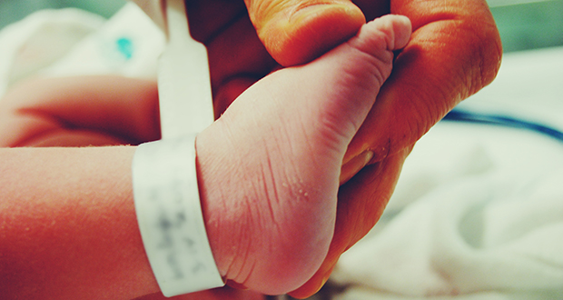 newborn