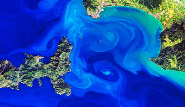 Ocean eddies are amplifying climate extremes in coastal seas