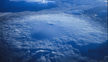 Environment: Nature is in decline – and we are funding the damage