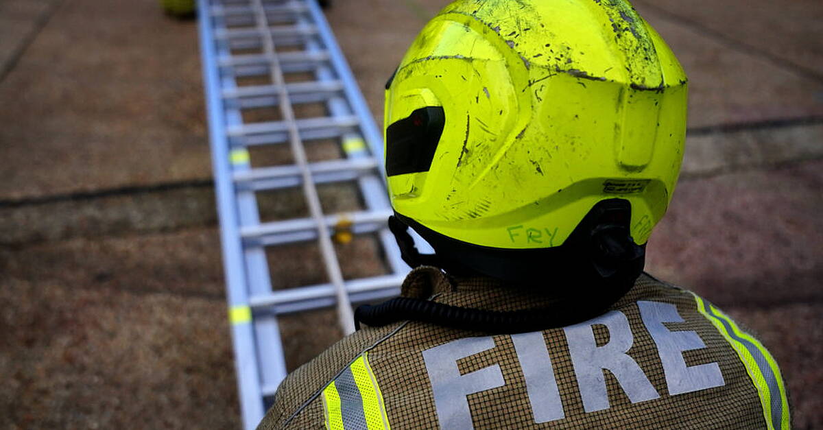 Over 5,000 hectares burnt in Ireland during EU’s worst year for wildfires