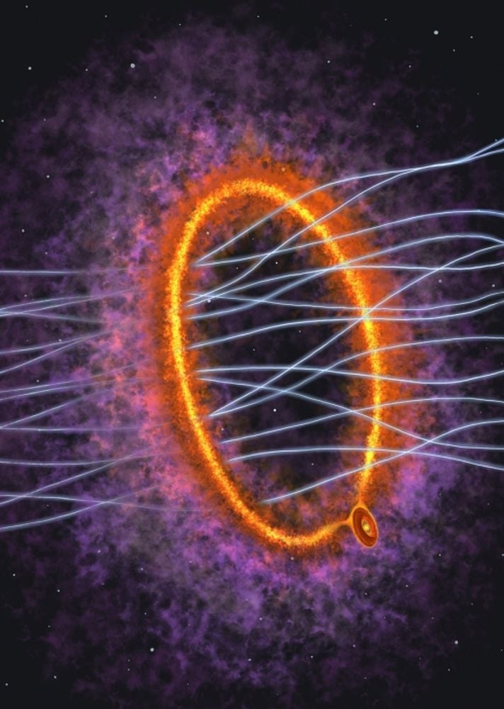 This artist's illustration shows the young protostar MC 27 and its protostellar disk in the lower right. The large, 1,000 au ring of gas is shown, along with magnetic field lines penetrating the ring. Image Credit: Y. Nakamura, K. Tokuda et al. 2026. ApJL