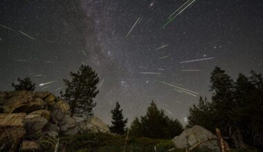 Scientist Spots New Meteor Shower Linked to a Disintegrating Asteroid