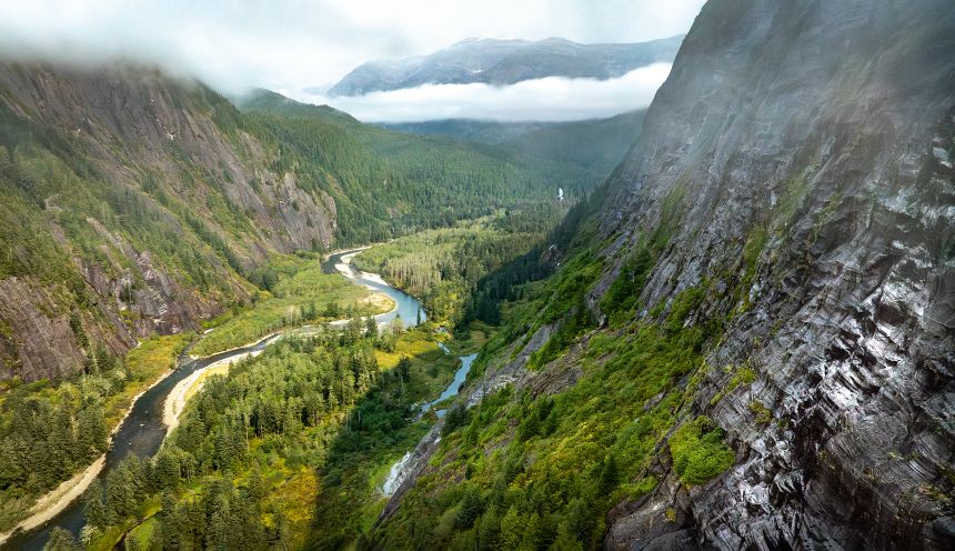 The Great Bear Rainforest is the largest intact coastal temperate rainforest in the world.