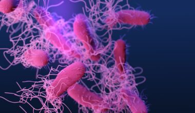 Salmonella outbreak linked to Hamilton, Ontario restaurant