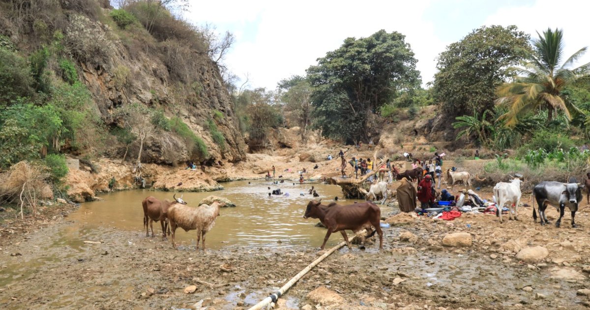 Drought Displaces Nearly 62,000 in Somalia as Climate Shocks Intensify