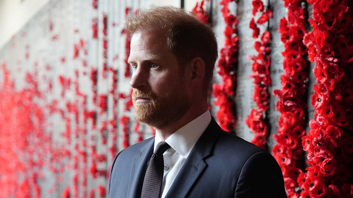 Prince Harry placing a poppy at the Afghanistan section of the Wall of Remembrance in Canberra