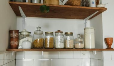 Psychology says people who own three of every household basic aren't hoarders, they grew up in a house where running out meant somebody was about to get yelled at and somebody else was about to cry