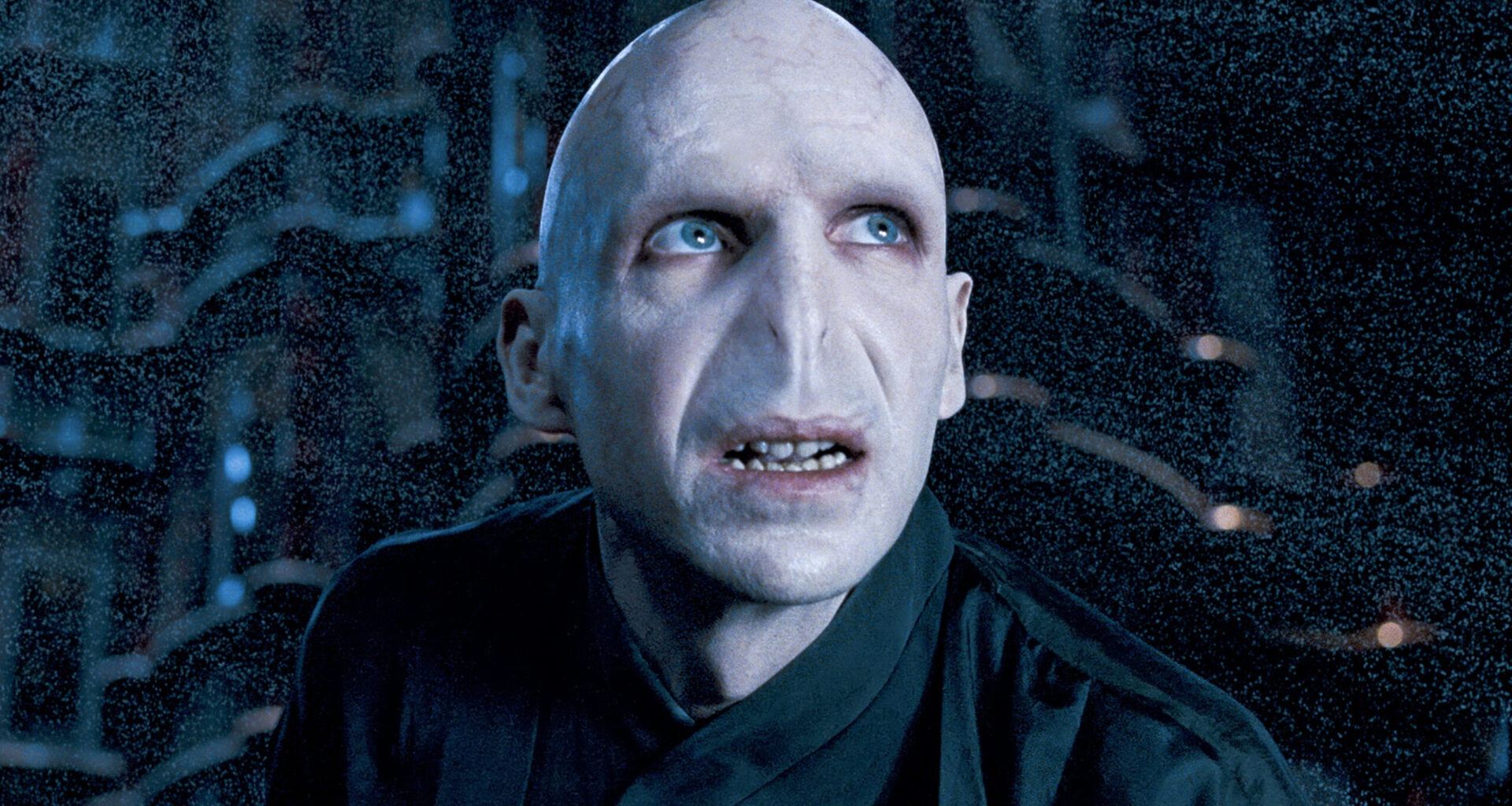 Original Voldemort Pushes Harry Potter To Gender Swap His Character