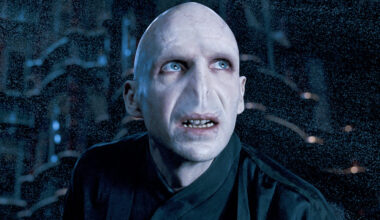 Original Voldemort Pushes Harry Potter To Gender Swap His Character