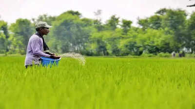 India seeks 2.5 million metric tons of urea amid Middle East supply amid Hormuz supply hit