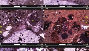 Roman wall art shows advanced technique for paint conservation