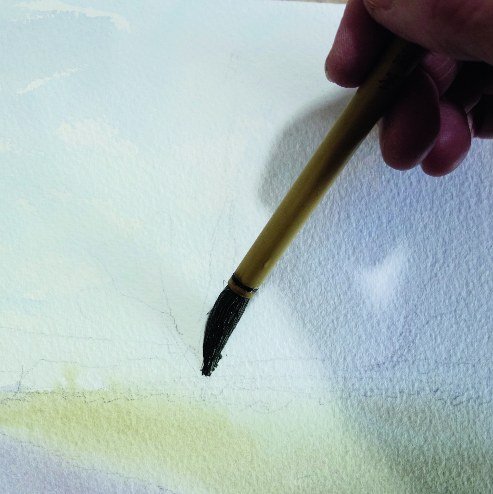 painting a tree