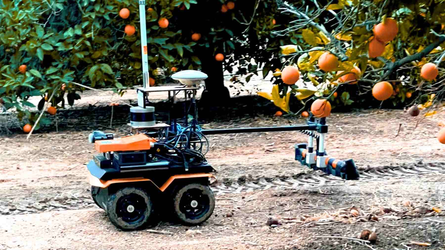 Ground robot maps soil moisture in a California citrus orchard to guide precision irrigation tree by tree