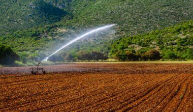 A nation of small plots, shrinking returns