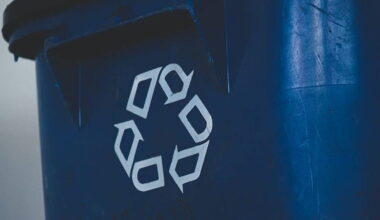 Simple changes could double food waste recycling in apartments, study finds