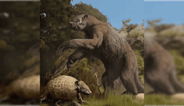 Lion-sized Armadillo and Giant Tortoise Found in Texas Cave Surprise Paleontologists
