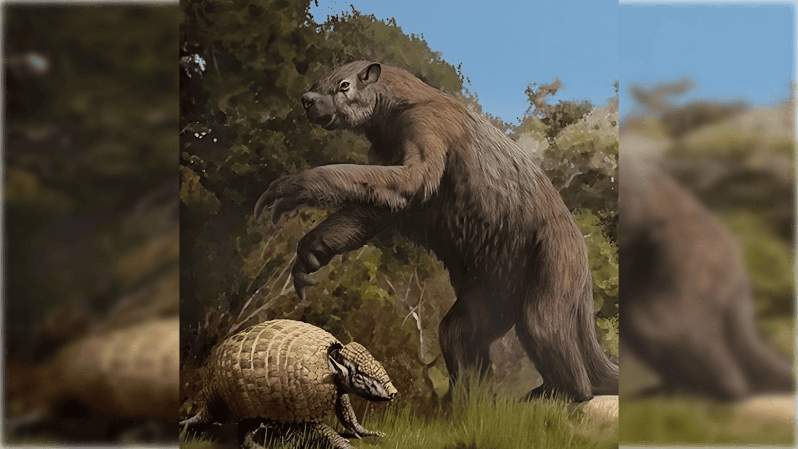 Lion-sized Armadillo and Giant Tortoise Found in Texas Cave Surprise Paleontologists